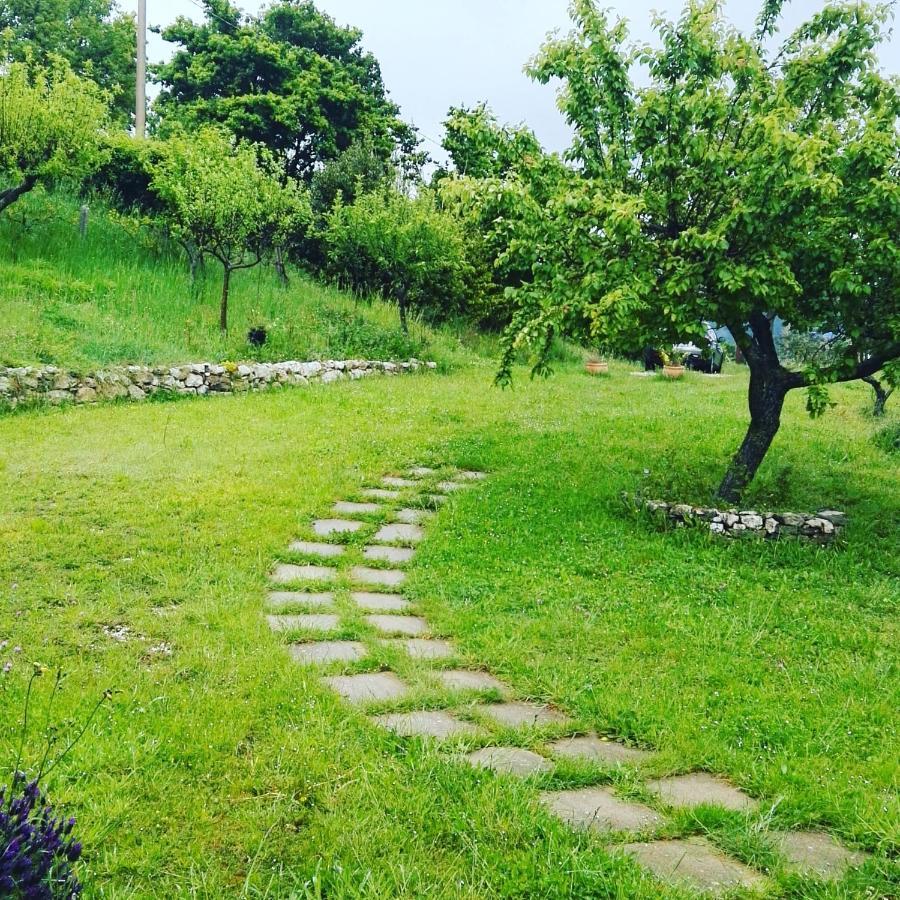 B&B La Montagna Rosa Castelnuovo  Eksteriør bilde