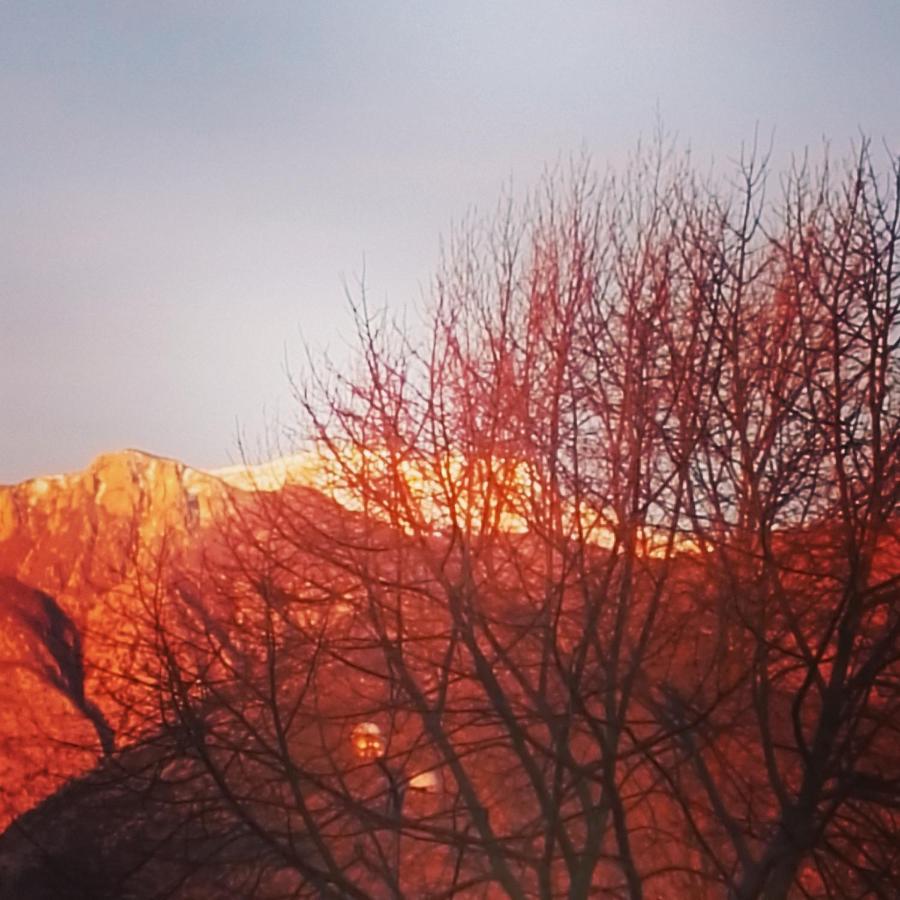B&B La Montagna Rosa Castelnuovo  Eksteriør bilde